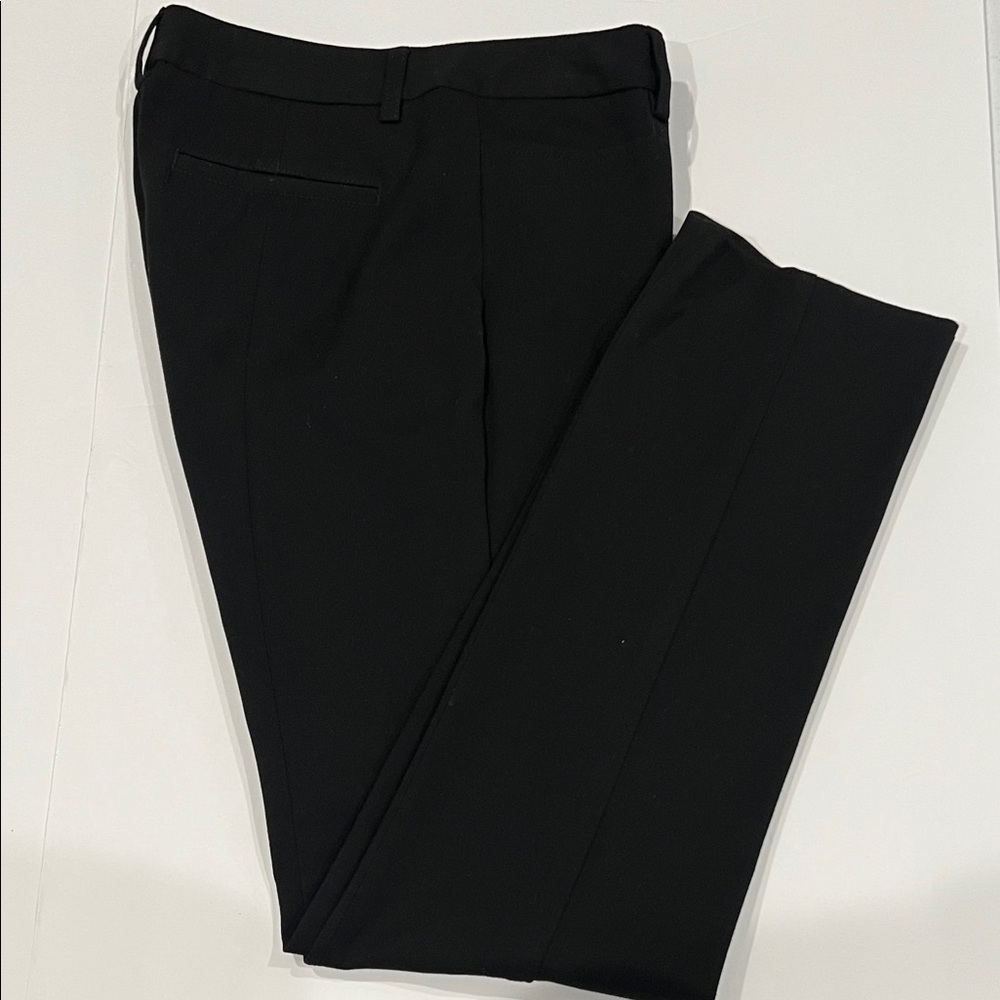 Express Columnist Dress Pants